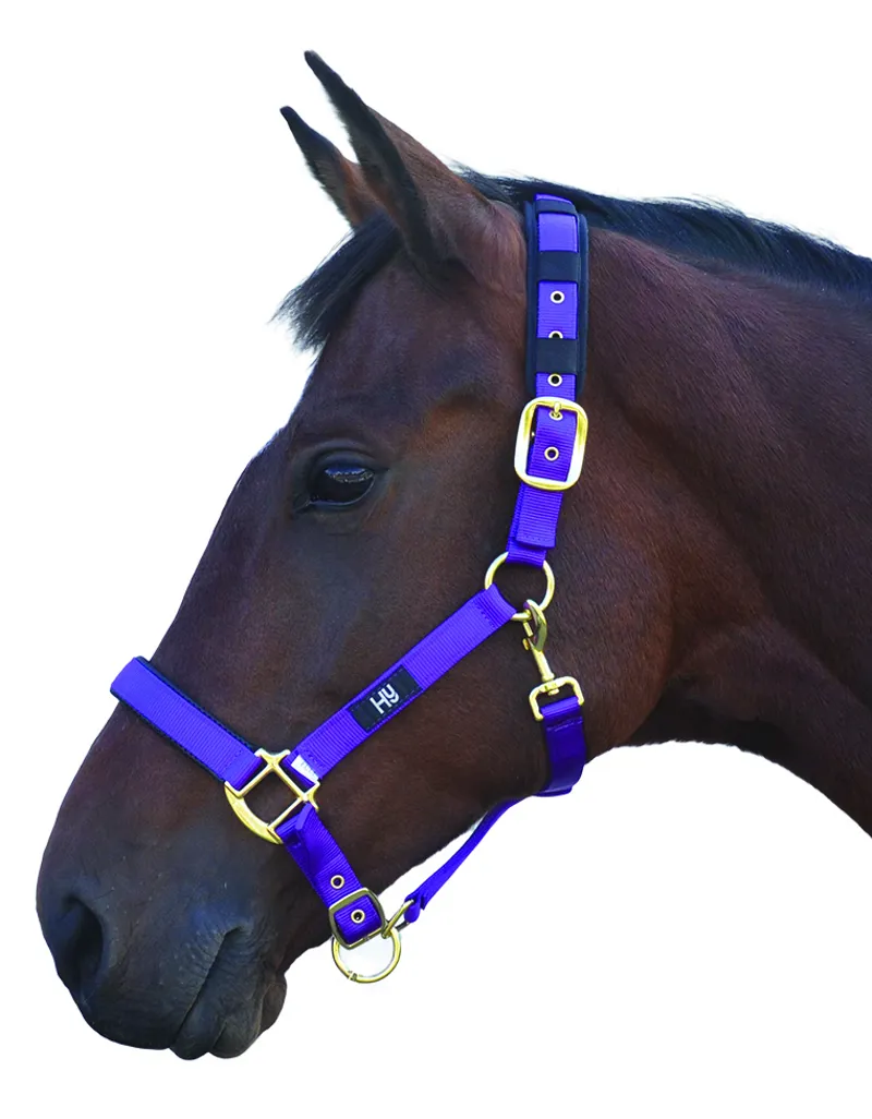 Hy Equestrian Deluxe Padded Head Collar - Purple